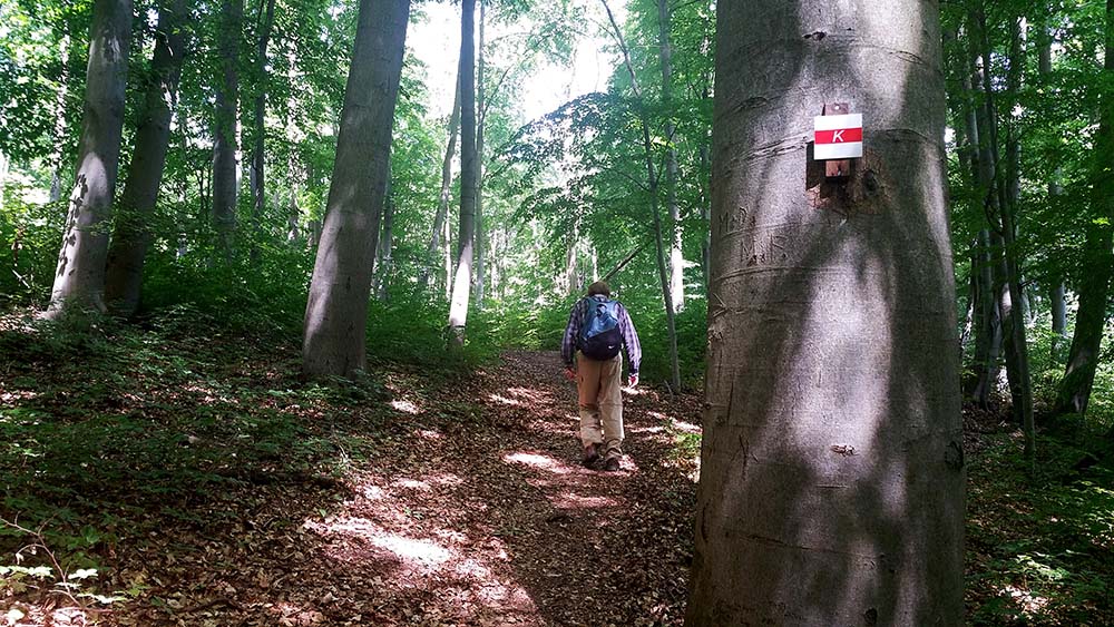 Der Karstwanderweg