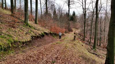 Wandern am Schimmelshütchen bei Sülzhayn