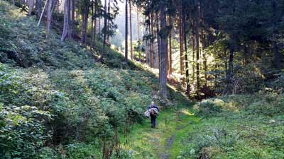 Ariane im Tal der Luppbode bei Treseburg