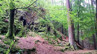 Der Vulkanweg im Kuckanstal von Bad Sachsa