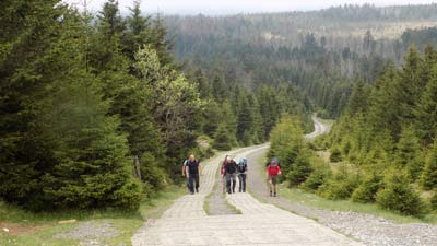 Brockentour Kolonnenweg