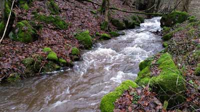 Der Fuhrbach bei Appenrode