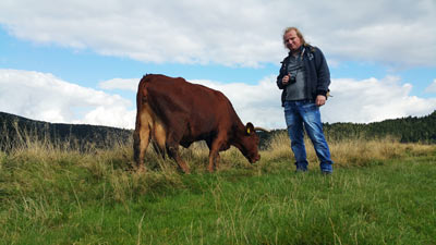 Elko auf dem Gallenberg