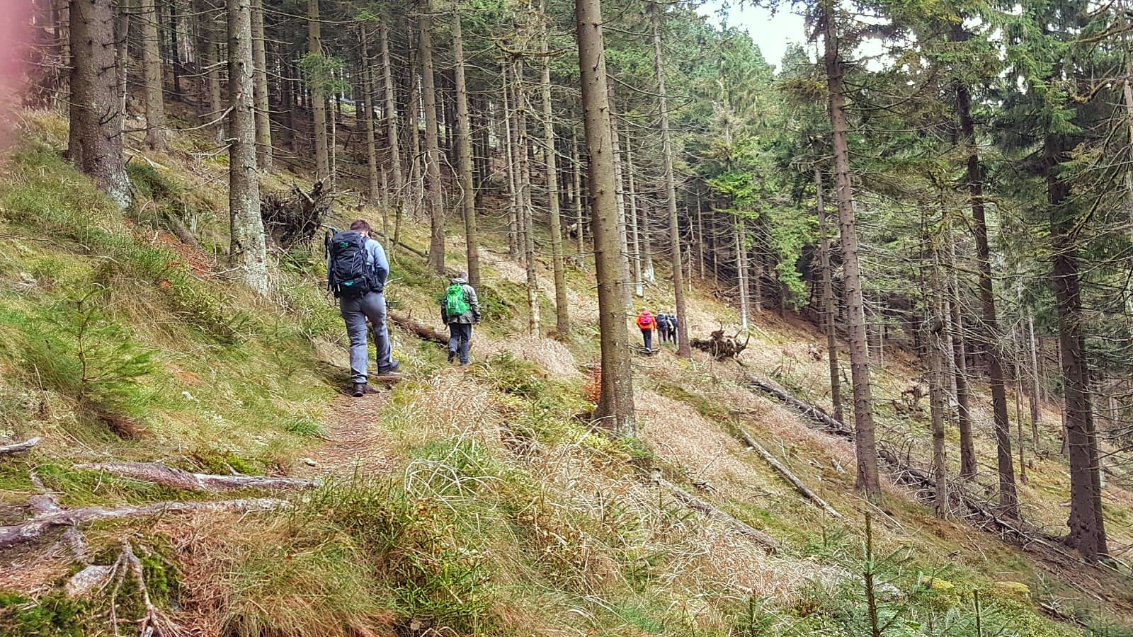 Schmaler Bergpfad auf dem Wildererpfad bei Gehlberg im Thüringer Wald