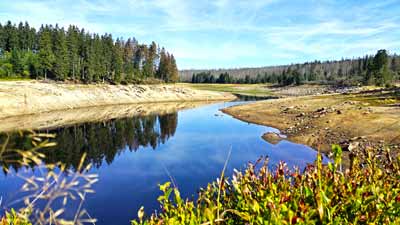 Der Oderteich im nationalpark Harz