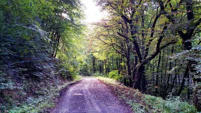 Herbstanfang im Nassetal