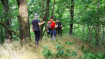 Ein Singletrail bei Ilfeld