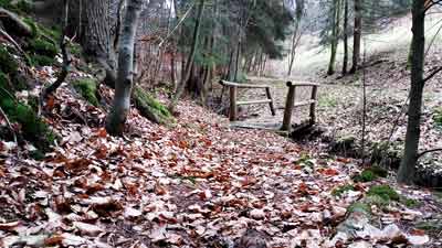 Kleine Holzbrücke im Harzgarten bei Stolberg im Südharz