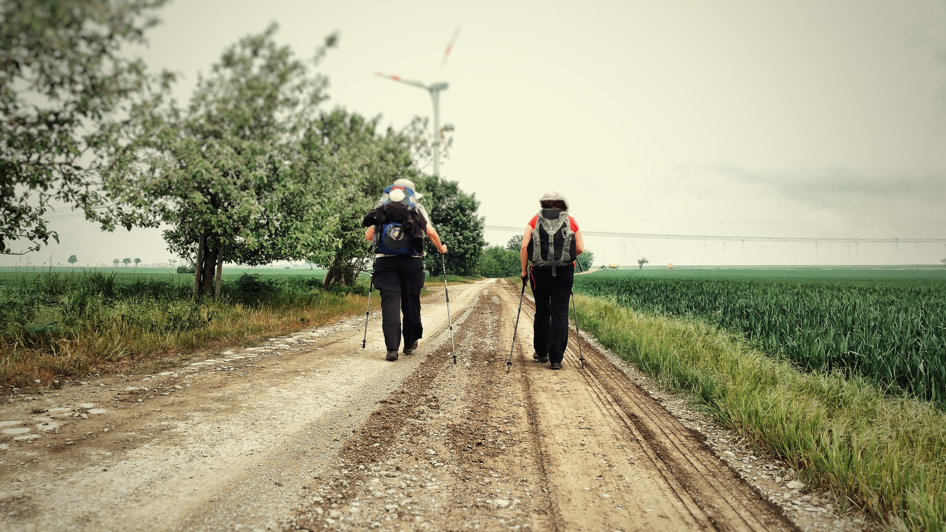 Auf dem Jakobsweg vor Unseburg gehen Johanna und Jacqueline noch immer durch landwirtschaftlich geprägte Flächen