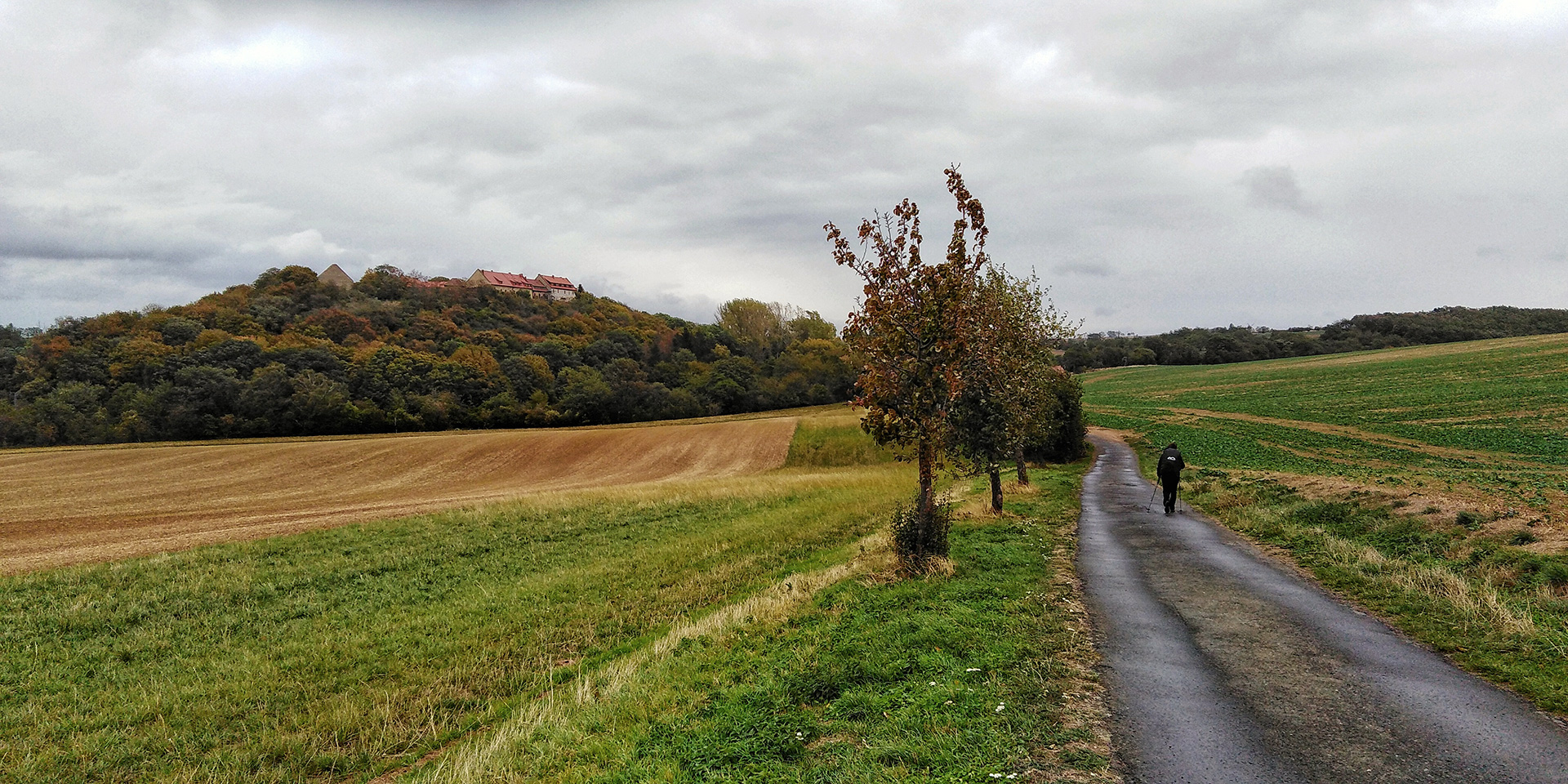 Die Konradsburg bei Ermsleben kommt in Sicht