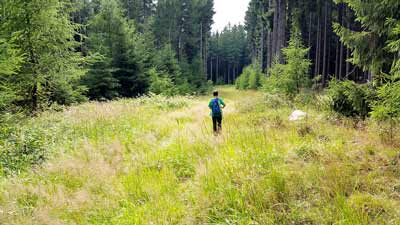 Justus unterwegs im Beerenland bei Friedrichsbrunn