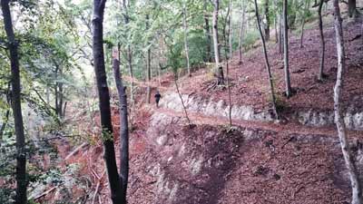 Der Kattenburger Weg führt direkt durch den Karst