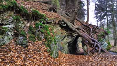 Ein Tunnel neben der Selke in der Nähe von Mägdesprung