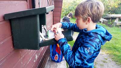 Max stempelt im Welt Wald Harz