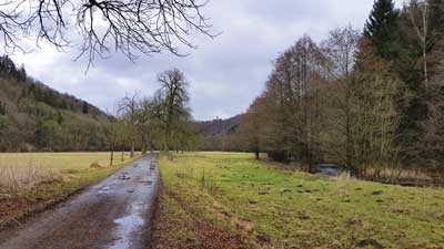 Blick aus dem Selketal auf Burg Falkenstein