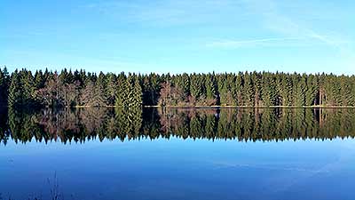 Der Nassenwieser Teich bei Clausthal Zellerfeld