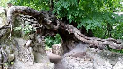 Ruine der Lauenburg bei Stecklenberg