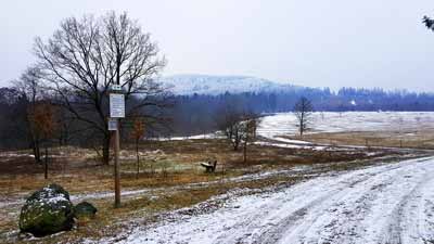 Die Weide am Wittenberg auf dem Steinway-Trail