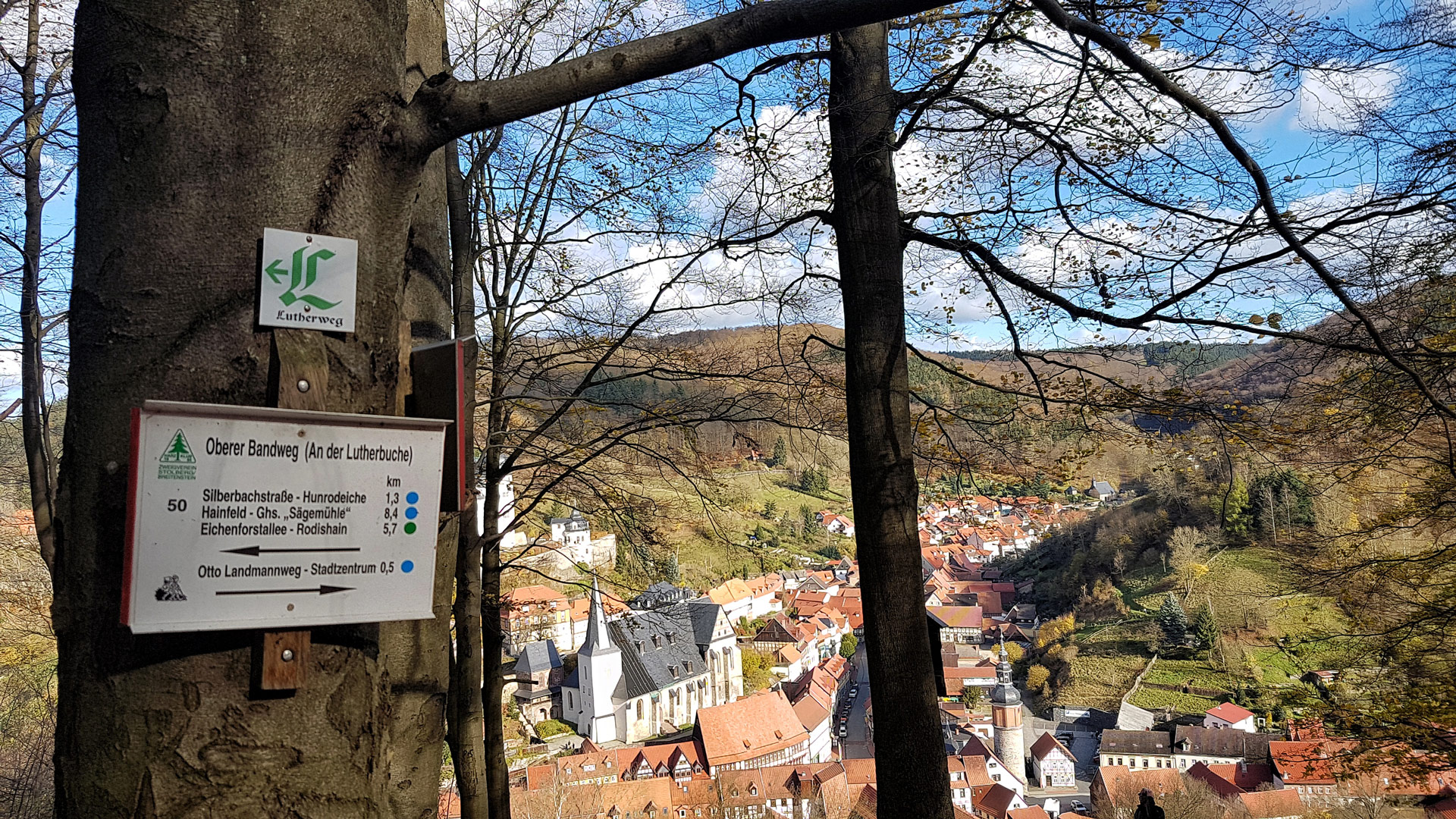 Die Aussicht von der Lutherbuche auf Stolberg im Südharz