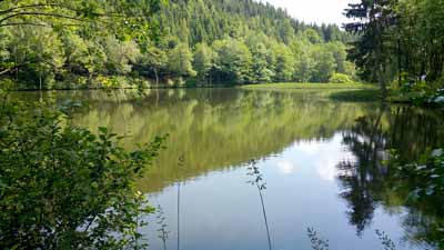 Der Maliniusteich bei Strassberg