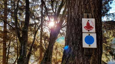 Schild des Selketal-Stiegs an einem Baum bei Strassberg