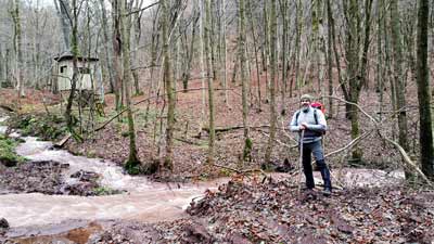 Thomas am Fuhrbach bei Appenrode