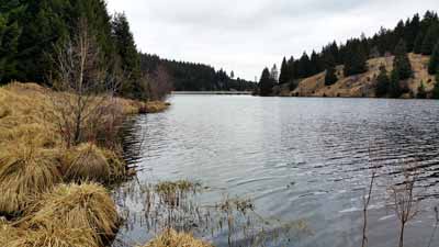 Die Rappbode-Vorsperre bei Trautenstein