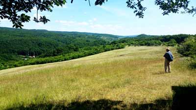 Grandiose Aussicht vom Roten Kopf auf dem Karstwanderweg bei Questenberg