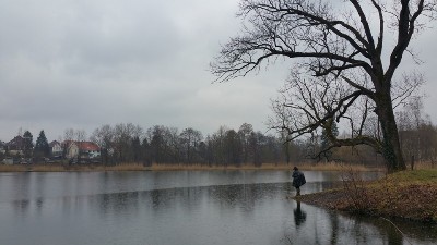 Walkenried Roeseteich