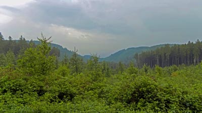 Blick nach Wernigerode