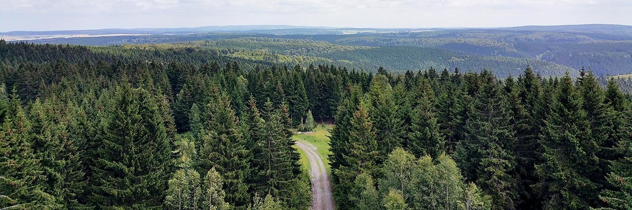 Blick vom Carlshausturm