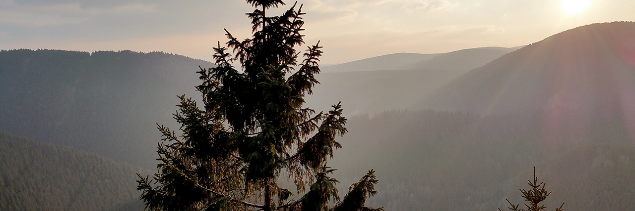 Blick von der Pfeigenbaum-Klippe Blick von der Pfeigenbaum-Klippe