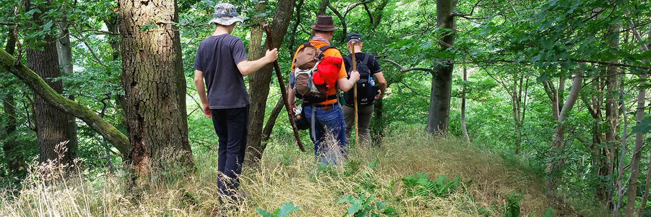 Singletrail an der Wetterfahne bei Ilfeld