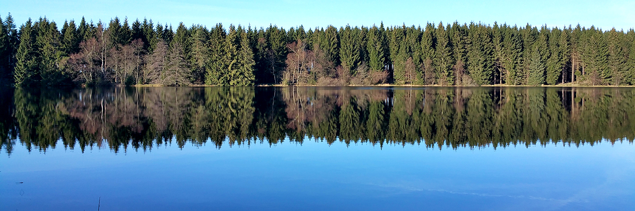 Der Nassenwieser Teich Der Nassenwieser Teich bei Clausthal-Zellerfeld