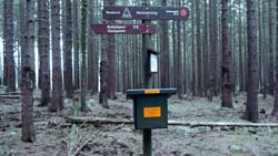 024 Wolfsklippe