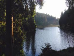 113 Grumbacher Teich