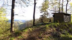 158 Hassenstein