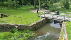 172 Katzsohleteich