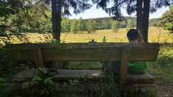 191 Laubtalblick